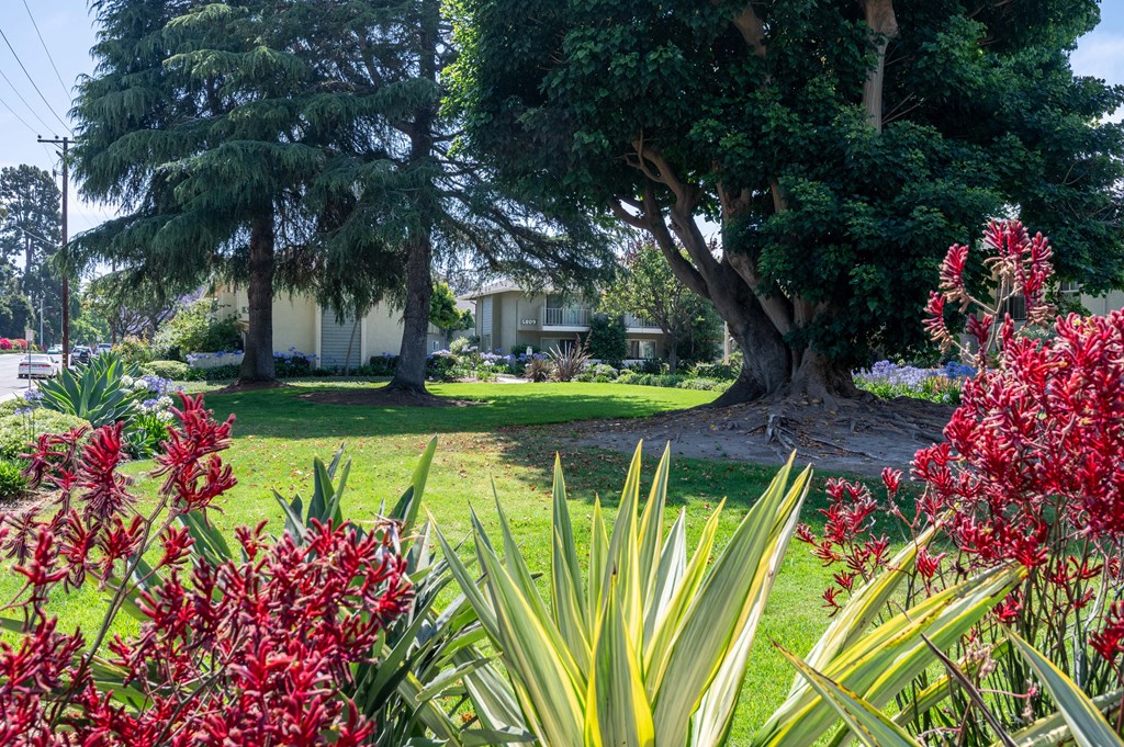 Encina Meadows Apartments, 5839 Encina Road, Unit 107,, Goleta, CA